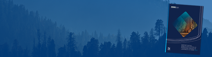 Image of NAFO Report 2023 Banner