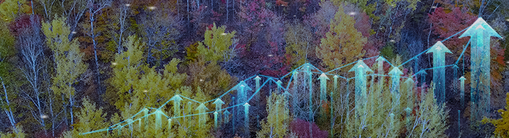 Timber rising banner image