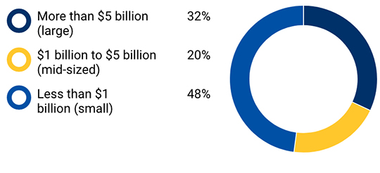 About the survey respondents - Size